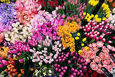 《逐光之旅》CJ参展预告 夏日入海清凉挑战